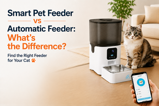 Smart Pet Feeder vs Automatic Feeder: What’s the Difference?