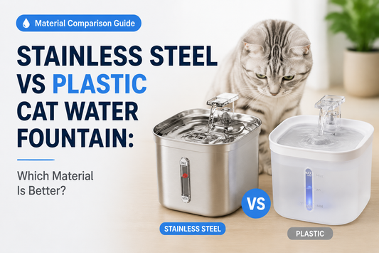 Stainless Steel vs Plastic Cat Water Fountain: Which Material Is Better?
