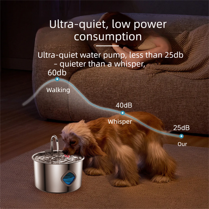 PETSMEN 3.2L 304 Stainless Steel Smart Pet Water Fountain For Cat And Dog Visualization Window Automatic Water Drinking Dispenser