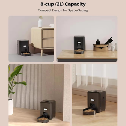 PETSMEN Pet Intelligent Feeder Timed Wifi Remote Feeding For Cat And Dog Smart Pet Automatic Feeder