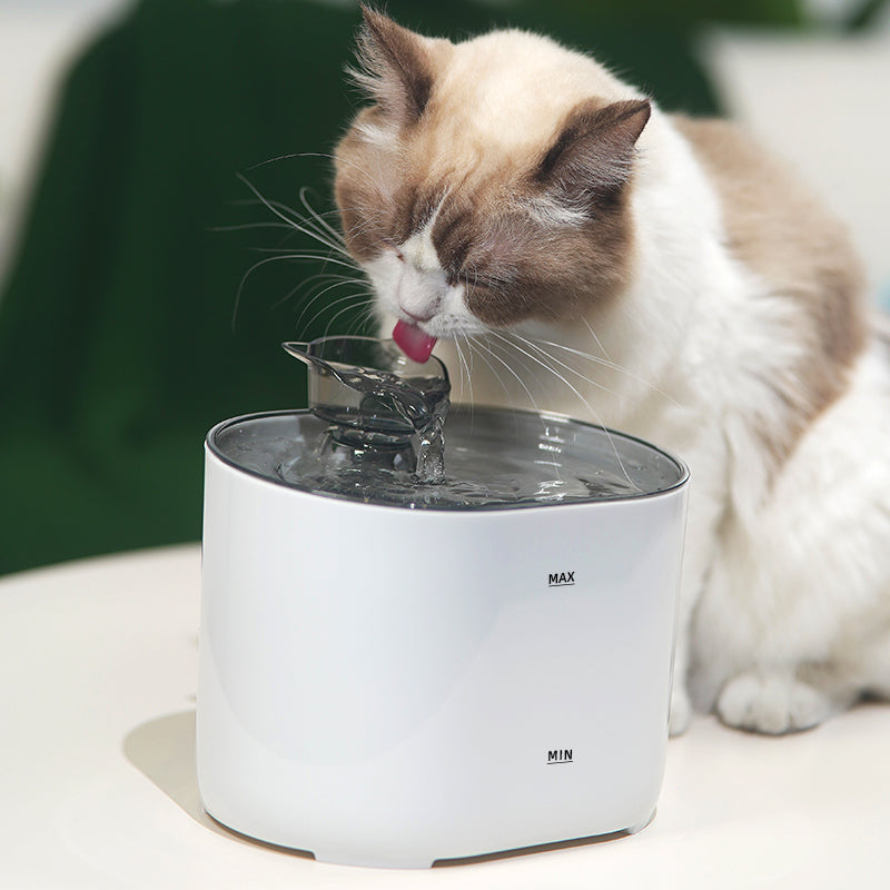 PETSMEN Smart Pet Water Dispenser Intelligent Sensing Cat Water Fountain Automatic Circulation Filtration Live Water Drinking Device