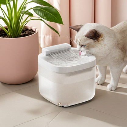 PETSMEN 3L Large Capacity Pet Water Dispenser Automatic Circulation Filtration Intelligent Cat Water Fountain Dog Water Feeder Bowl