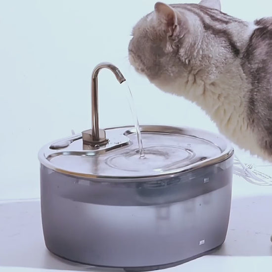 Smart pet water fountain with stainless steel faucet and circulating filtration system