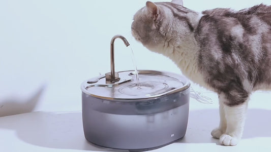 Smart pet water fountain with stainless steel faucet and circulating filtration system