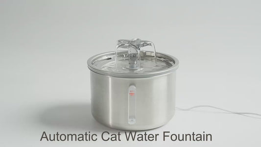 PETSMEN Smart Pet Water Dispenser Stainless Steel Visible Window Cat Automatic Water Fountain Small Flower Fountain Cat And Dog Intelligent Water Feeding