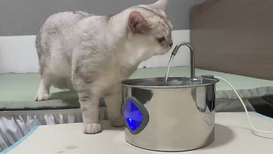 PETSMEN 3.2L 304 Stainless Steel Smart Pet Water Fountain For Cat And Dog Visualization Window Automatic Water Drinking Dispenser