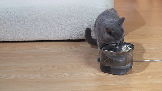 PETSMEN 2L Capacity Smart Pet Water Dispenser Stainless Steel Tray Cat Automatic Water Drinking Fountain For Dog