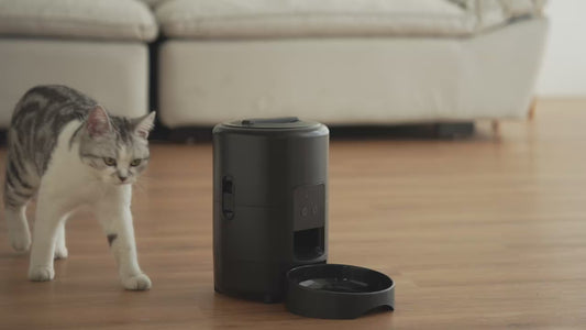 PETSMEN New Intelligent Pet Feeder With Timed And Quantitative Feeding Machine Mobile WiFi Remote Control Electric Feeding Bowl For Cats And Dogs