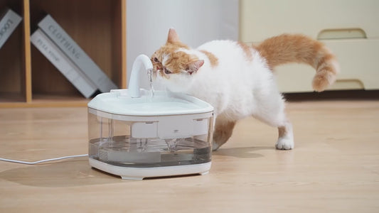 PETSMEN Large Capacity 4.5L Dog Cat Smart Water Fountain With Ultra-Quiet Pump Automatic Water Dispenser For Pets