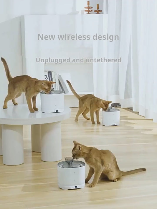 PETSMEN Smart Pet Water Dispenser Intelligent Sensing Cat Water Fountain Automatic Circulation Filtration Live Water Drinking Device