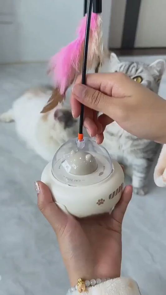 PETSMEN Smart Automatic Cat Teasing Toy For Relieving Boredom Electric Induction Cat Teasing Stick