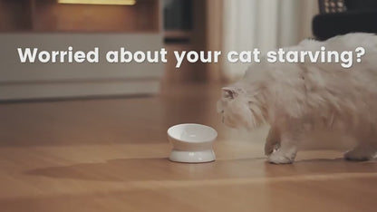 PETSMEN Pet Intelligent Feeder Timed Wifi Remote Feeding For Cat And Dog Smart Pet Automatic Feeder