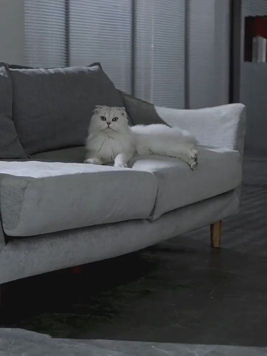 PETSMEN 5000mA Wireless Charging Cat Water Dispenser Intelligent Induction Automatic Circulation Water Fountain Non Plug Pet Stainless Steel Water Dispenser For Dog