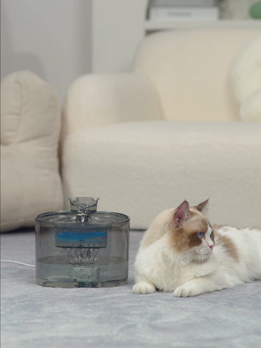 PETSMEN Cat Water Dispenser With Automatic Circulation Flowing Water New Smart Pet Water Fountain With Filtered Water Bowl Silent