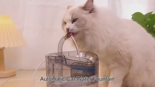 PETSMEN Smart Pet Water Fountain For Cat 2L Automatic Circulation Fountain For Dog