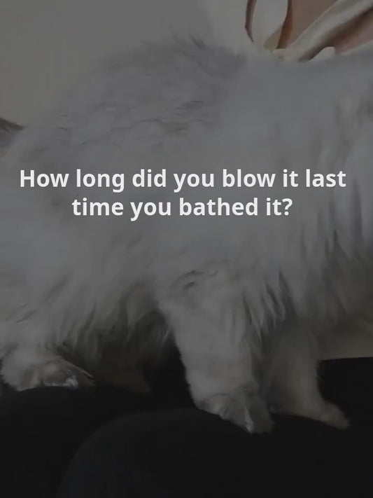 PETSMEN 62L Large Capacity Pet Drying Oven Intelligent Cat And Dog Dryer Fully Automatic Pet Water Air Blower High Power Pet Constant Temperature Drying Box