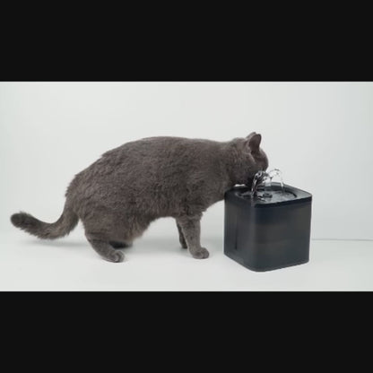 PETSMEN Smart Pet Water Dispenser Automatic Circulation Fountain Intelligent Cat Water Fountain Dog Water Dispenser
