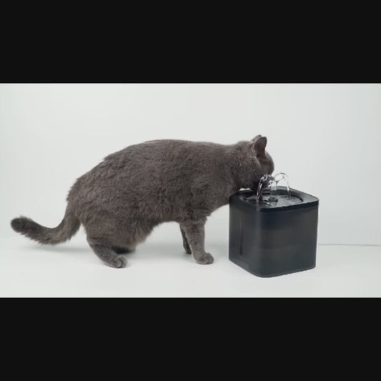 PETSMEN Smart Pet Water Dispenser Automatic Circulation Fountain Intelligent Cat Water Fountain Dog Water Dispenser